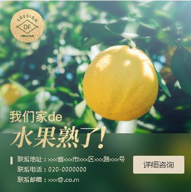 龙井果园果林小程序开发